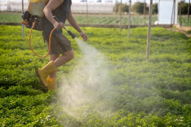 Best Residential Pest Control  in Burns, OR