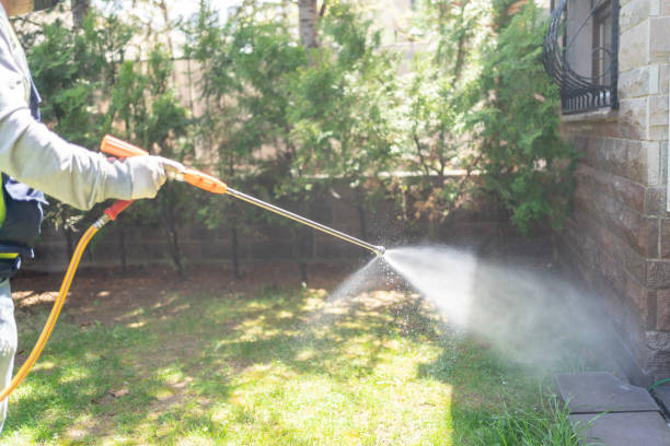 Best Pest Control Near Me  in Burns, OR