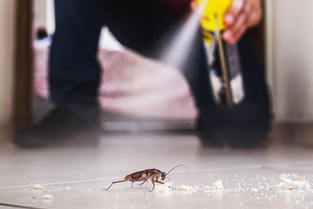 Best Pest Control Near Me in Burns, OR