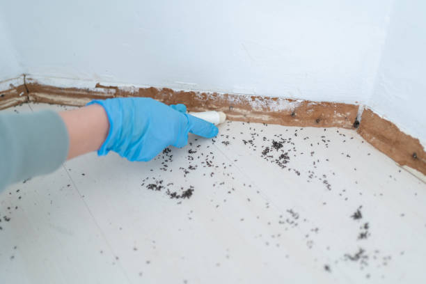 Burns, OR Pest Control Company