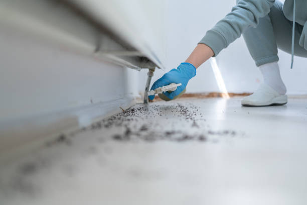 Best Affordable Pest Control Services  in Burns, OR