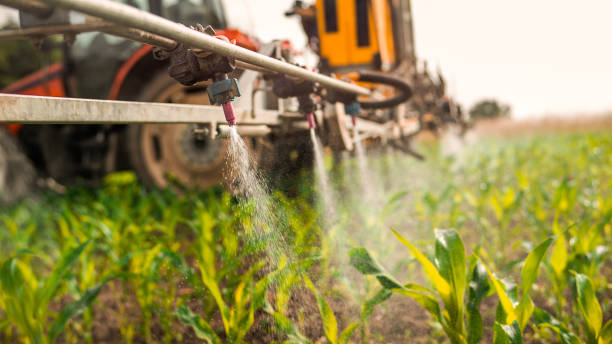 Best Ant Control Services  in Burns, OR